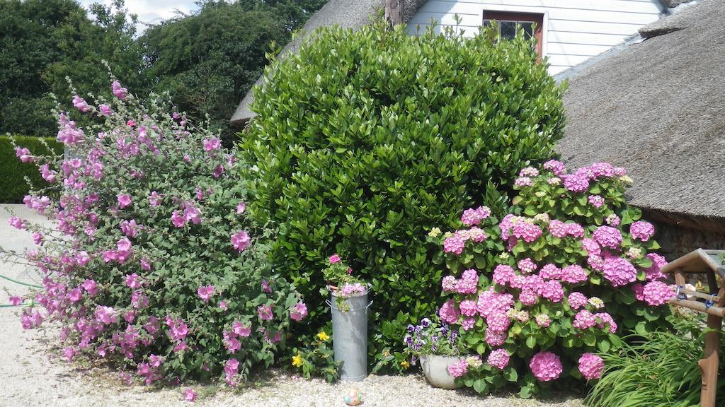 La Musardise Bed and Breakfast Guérande Εξωτερικό φωτογραφία